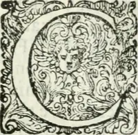 An illustration from Delle imprese, trattato (1592)
