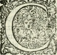 An illustration from Delle imprese, trattato (1592)