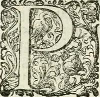 An illustration from Delle imprese, trattato (1592)