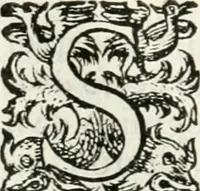 An illustration from Delle imprese, trattato (1592)