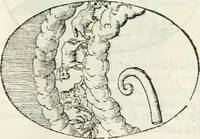 An illustration from Delle imprese, trattato (1592)