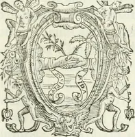 An illustration from Delle imprese, trattato (1592)