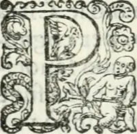 An illustration from Delle imprese, trattato (1592)