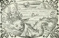 An illustration from Delle imprese, trattato (1592)