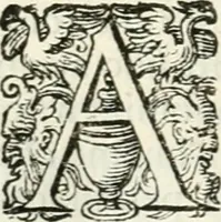 An illustration from Delle imprese, trattato (1592)
