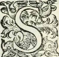 An illustration from Delle imprese, trattato (1592)