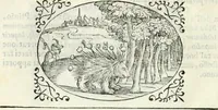 An illustration from Delle imprese, trattato (1592)