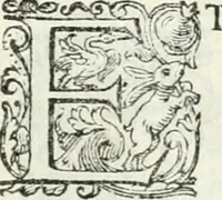 An illustration from Delle imprese, trattato (1592)