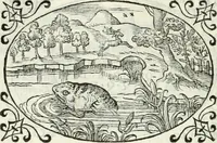An illustration from Delle imprese, trattato (1592)