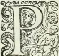 An illustration from Delle imprese, trattato (1592)