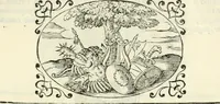 An illustration from Delle imprese, trattato (1592)