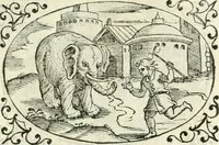 An illustration from Delle imprese, trattato (1592)