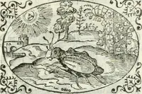 An illustration from Delle imprese, trattato (1592)