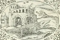 An illustration from Delle imprese, trattato (1592)