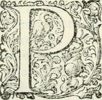 An illustration from Delle imprese, trattato (1592)