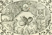 An illustration from Delle imprese, trattato (1592)
