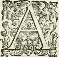 An illustration from Delle imprese, trattato (1592)