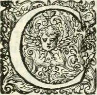 An illustration from Delle imprese, trattato (1592)