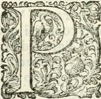 An illustration from Delle imprese, trattato (1592)