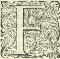 An illustration from Delle imprese, trattato (1592)