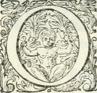 An illustration from Delle imprese, trattato (1592)