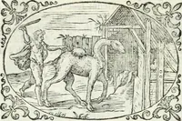An illustration from Delle imprese, trattato (1592)