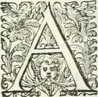 An illustration from Delle imprese, trattato (1592)