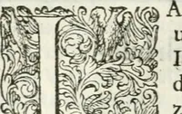 An illustration from Delle imprese, trattato (1592)