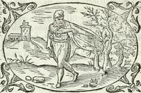 An illustration from Delle imprese, trattato (1592)