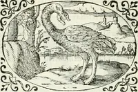 An illustration from Delle imprese, trattato (1592)