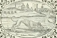 An illustration from Delle imprese, trattato (1592)