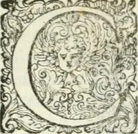 An illustration from Delle imprese, trattato (1592)