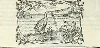 An illustration from Delle imprese, trattato (1592)