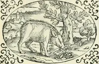 An illustration from Delle imprese, trattato (1592)