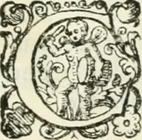 An illustration from Delle imprese, trattato (1592)
