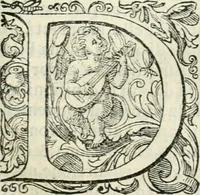 An illustration from Delle imprese, trattato (1592)
