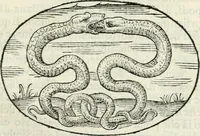 An illustration from Delle imprese, trattato (1592)