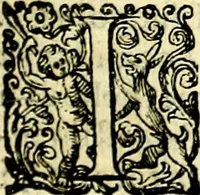 An illustration from Delle imprese trattato (1592)