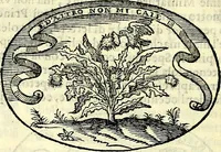 An illustration from Delle imprese trattato (1592)