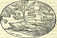 An illustration from Delle imprese trattato (1592)