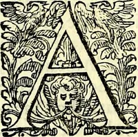 An illustration from Delle imprese trattato (1592)