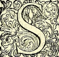 An illustration from Delle imprese trattato (1592)