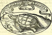 An illustration from Delle imprese trattato (1592)