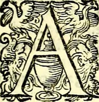 An illustration from Delle imprese trattato (1592)