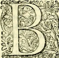 An illustration from Delle imprese trattato (1592)