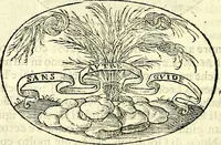 An illustration from Delle imprese trattato (1592)