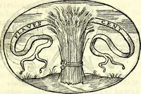 An illustration from Delle imprese trattato (1592)