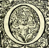 An illustration from Delle imprese trattato (1592)