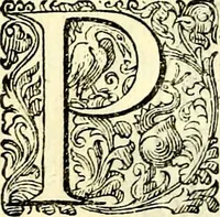 An illustration from Delle imprese trattato (1592)