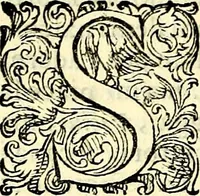An illustration from Delle imprese trattato (1592)